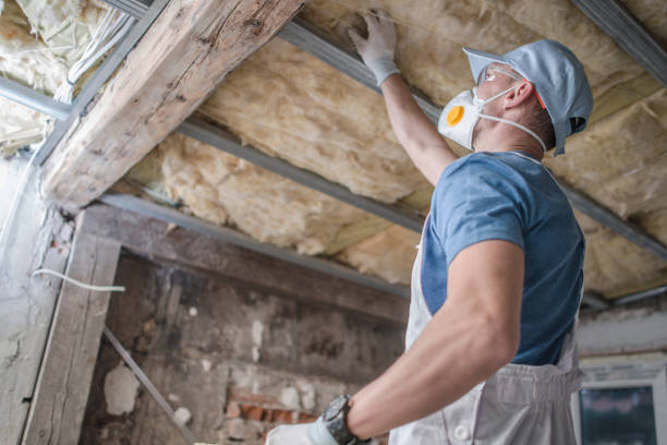 Best Insulation Installation Services in Claxton, GA